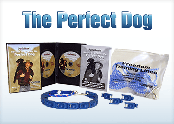 The Perfect Dog®